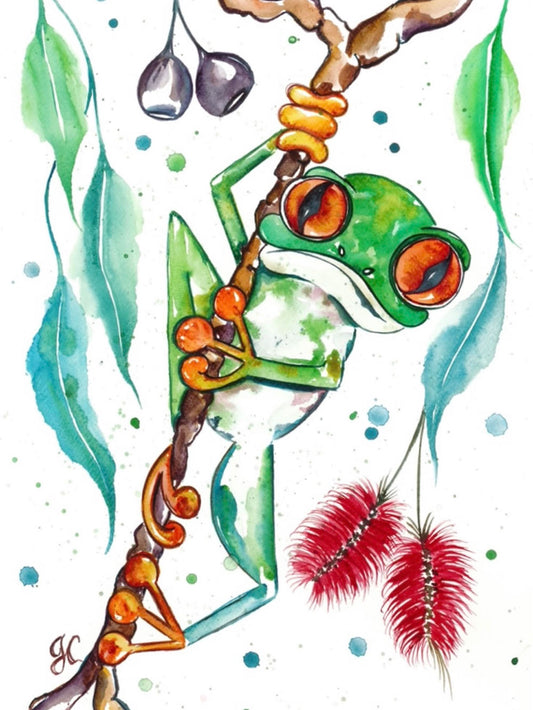 Nhulunbuy Frog Print