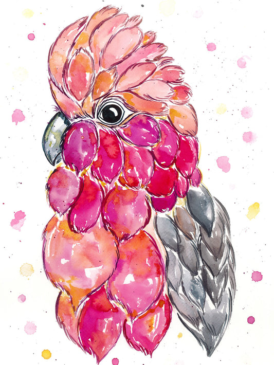 Rose Galah Print