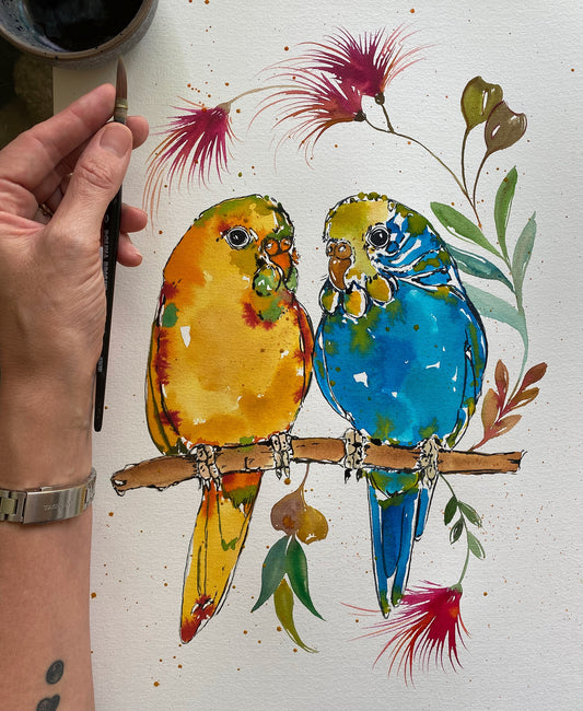 SOLD - Budgie Beauty