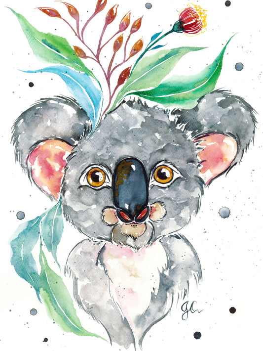 Gum Nut Koala Print